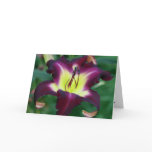 Daylily 'Black Falcon Ritual' Greeting Card