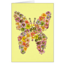 Daylily Butterfly Note Cards