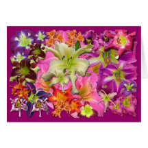 Daylily Collage Greeting Cards