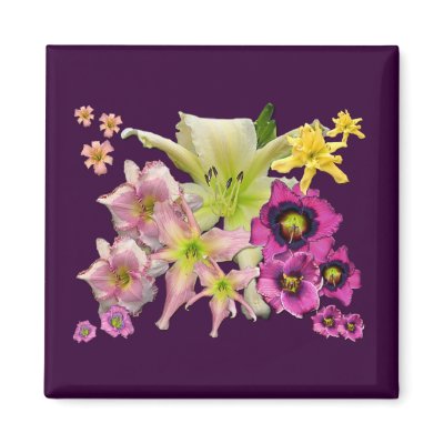 Daylily Collage by bamagirltee