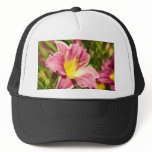 Daylily