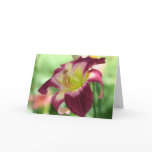 Daylily 'Integrated Logistics' Card