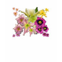 Daylily Mix t-shirts