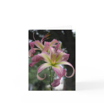 Daylily Note Card