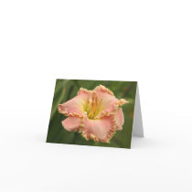 Daylily Note Card