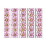 Daylily Stripes Postcards
