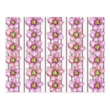 Daylily Stripes Postcards