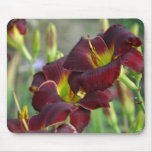 Daylily 'Vintage Bordeaux' Mouse Pad