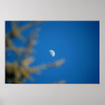 Daytime Moon Over Trees Print