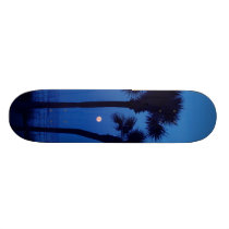 Daytona Beach Tropical Palm Tree Moon Skateboard skateboards