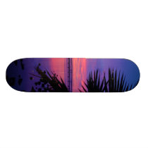 Daytona River Tropical Palm Tree Sunset Skateboard skateboards