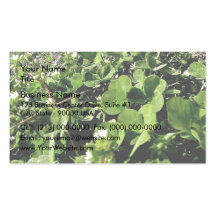 Dazzling small white flowers business card templates