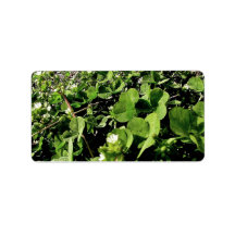 Dazzling small white flowers custom address label