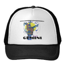 DC_2501742-15, GEMINI, WWW.CAFEPRESS.COM/POTTER... MESH HATS