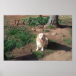 DCP_5702, Yeah I'm Still Here! Print