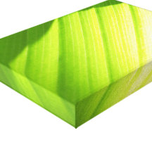 De feuille fin toile tendue sur châssis