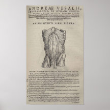De Humani Corporis Poster