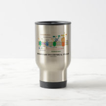 De la lumière à l'énergie chimique (photosynthèse) tasse