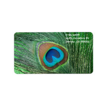 De paon de plume toujours la vie verte scintillant étiquettes d’adresse