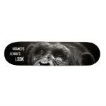 De SINGES plate-forme railleuse de planche à roule