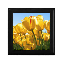 de_tulip box erinnerungskiste