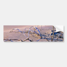 Dead Branches, Dunes Bumper Sticker