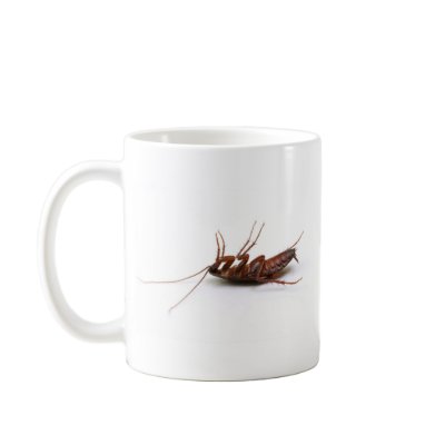 Dead cockroach mugs by ivelin