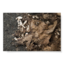 Dead Dog Road Kill posters
