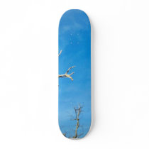 Dead Dry Branch Against Blue Sky Custom Skateboard