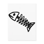 Dead Fish Skeleton Skull Bones Fossil Post Cards