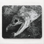 Dead Fish - Stinky, rotten Fishhead Mouse Pad