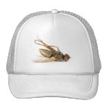 Dead fly trucker hat