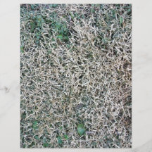Dead Grass Texture Custom Flyer