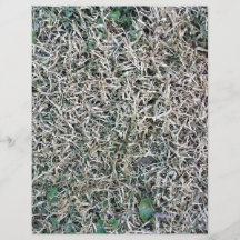 Dead Grass Texture Personalized Flyer