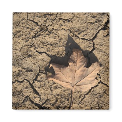 Dead Leaf Refrigerator Magnet by dandellion