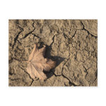 Dead Leaf Postcard