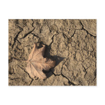 Dead Leaf Postcard