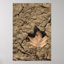 Dead Leaf Poster