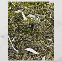 Dead leaves on the mossy ground custom flyer