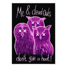Dead Owls Picture Art Photo