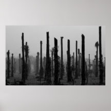 Dead Palms Poster