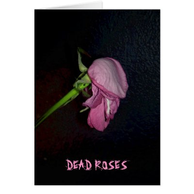 Dead Roses: The bloom is off the blossom, baby. Greeting Cards by SarahJCurtiss