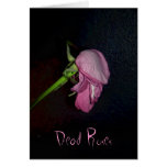 Dead Roses: www.GraceArtGroup.com Cards
