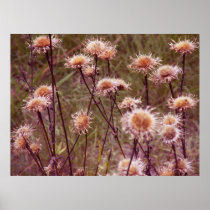 Dead Sunflowers Poster