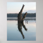 DEAD TREE IN THE RIVER POSTERS