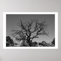 Dead Tree Posters