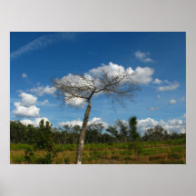 Dead Tree Poster