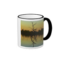 Dead trees reflected in Lily Creek Lagoon, dawn Mug