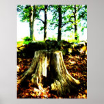 Dead Wood Poster