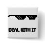 Deal With It Sunglasses